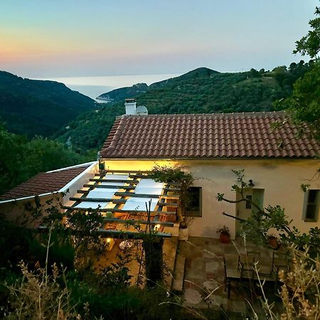 Olive Mill Cottage Szkópelosz Kültér fotó